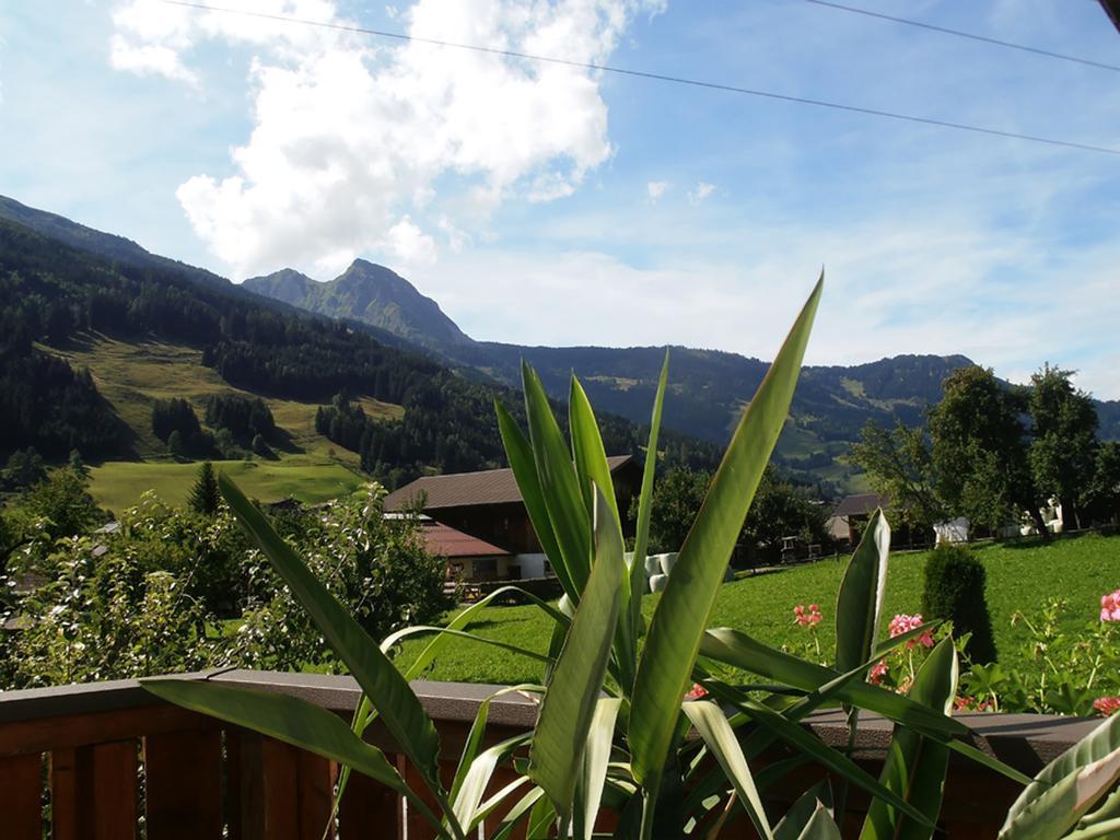 Landhaus Johanna Dorfgastein Exteriér fotografie